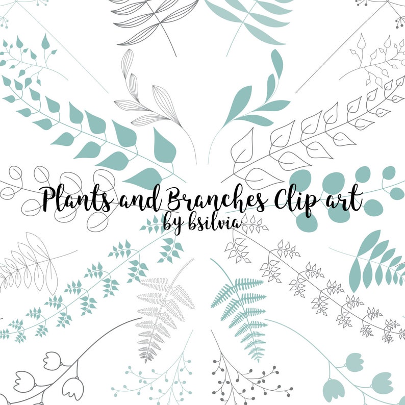 Create with Plant Clip Art and Photoshop Brushes Transparent PNGs, Vectors, and Floral Elements, Commercial use image 1