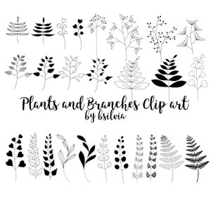 Create with Plant Clip Art and Photoshop Brushes Transparent PNGs, Vectors, and Floral Elements, Commercial use image 5