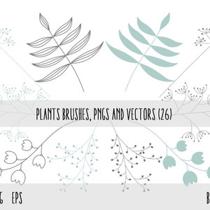 Plants Clip Art, Photoshop brushes , Plants Transparent PNG files and vector files EPS, Floral Design Elements, Plants Design Elements image 3