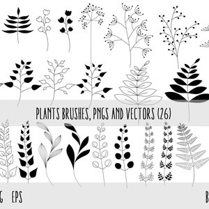 Plants Clip Art, Photoshop brushes , Plants Transparent PNG files and vector files EPS, Floral Design Elements, Plants Design Elements image 5