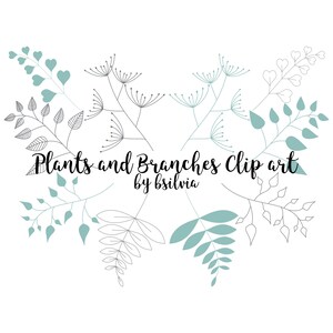 Create with Plant Clip Art and Photoshop Brushes Transparent PNGs, Vectors, and Floral Elements, Commercial use image 2