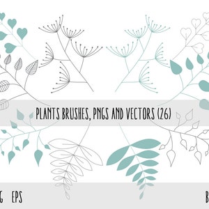 Plants Clip Art, Photoshop brushes , Plants Transparent PNG files and vector files EPS, Floral Design Elements, Plants Design Elements image 2