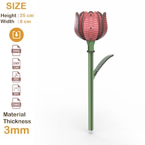 May include: A wooden tulip sculpture with a pink flower head and green stem. The flower is 25 cm tall and 8 cm wide, with a material thickness of 3mm. The image includes the word "SIZE".