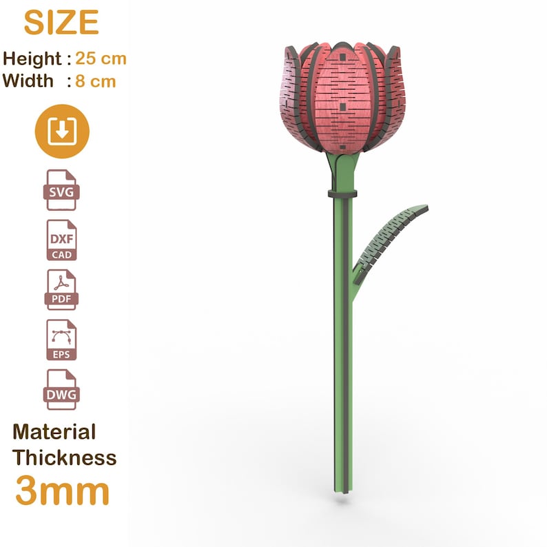 May include: A wooden tulip sculpture with a pink flower head and green stem. The flower is 25 cm tall and 8 cm wide, with a material thickness of 3mm. The image includes the word "SIZE".