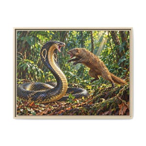 Puede incluir: Una impresión de arte mural enmarcada que muestra una confrontación dramática entre una cobra grande de escamas oscuras con la capucha desplegada y la boca abierta, y una mangosta marrón peluda saltando en un bosque denso y soleado.