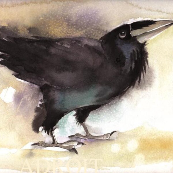 RAVEN with LOVE from Holland watercolor 12x9 inch ORIGINAL