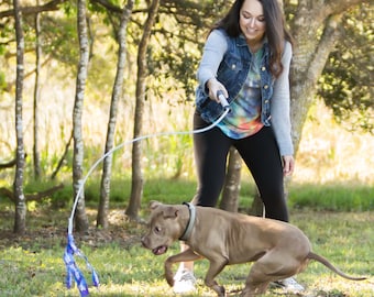 Flirt Pole V2 Dog Exercise & Training Toy with Lure