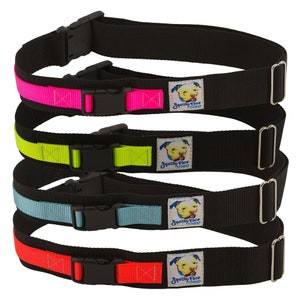 Hands Free Dog Leash Belt - Enjoy Walking Your Dog Again