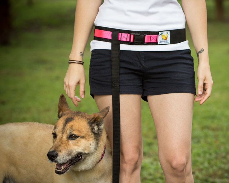 Hands Free Dog Leash Belt Enjoy Walking Your Dog Again image 2