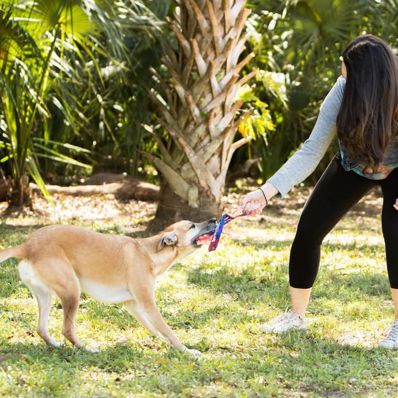 Dog Tug Toy Tough & Safer Alternative to Rope image 3