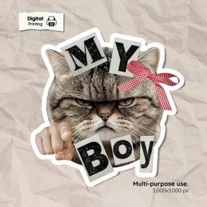 Puede incluir: Adhesivo impreso digitalmente con un gato gruñón con las palabras "MY BOY" en un estilo collage. El gato es gris y blanco con un lazo a cuadros rojo y blanco. El adhesivo es para uso multiusos.
