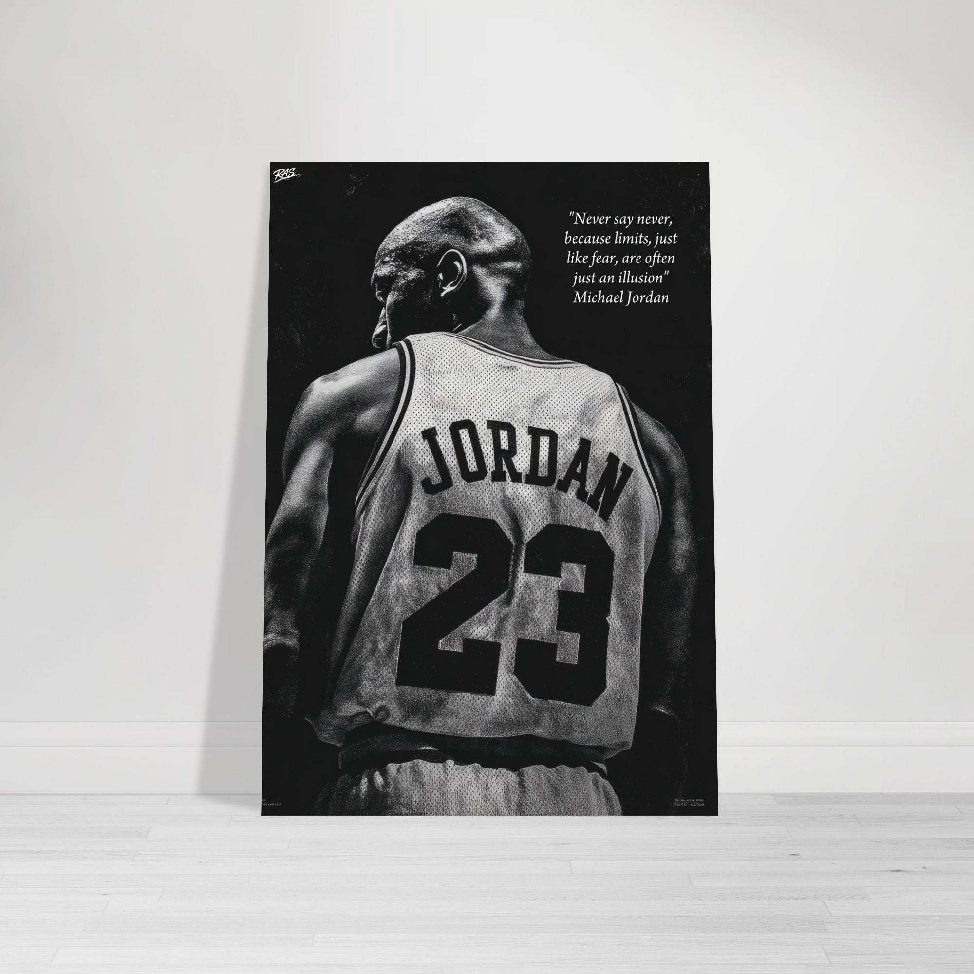 Jordan Black and Gray Box Art Panel Amazon.com: Gallery Pops Michael Jordan - Poster Dunk Color  main image 3