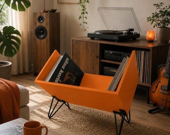 Colorful Vinyl Record Storage Cabinet, LP Record Organizer, Turntable Stand, Modern Vinyl Shelf, Mid Century Record Cabinet, Metal Legs