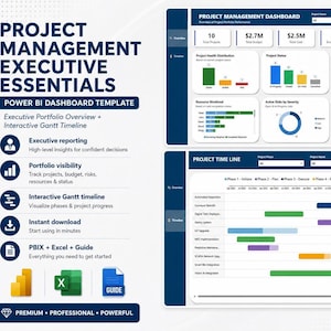 Project Management Executive Essentials Dashboard | Power BI Portfolio Overview & Gantt Timeline | PMO Reporting Template | 2 Pages