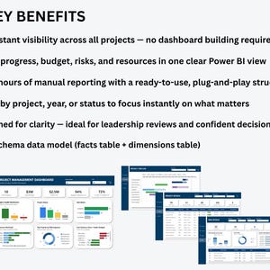 Power BI Project Management Dashboard with 4 interactive pages including portfolio overview, timeline, risk register, and project details template