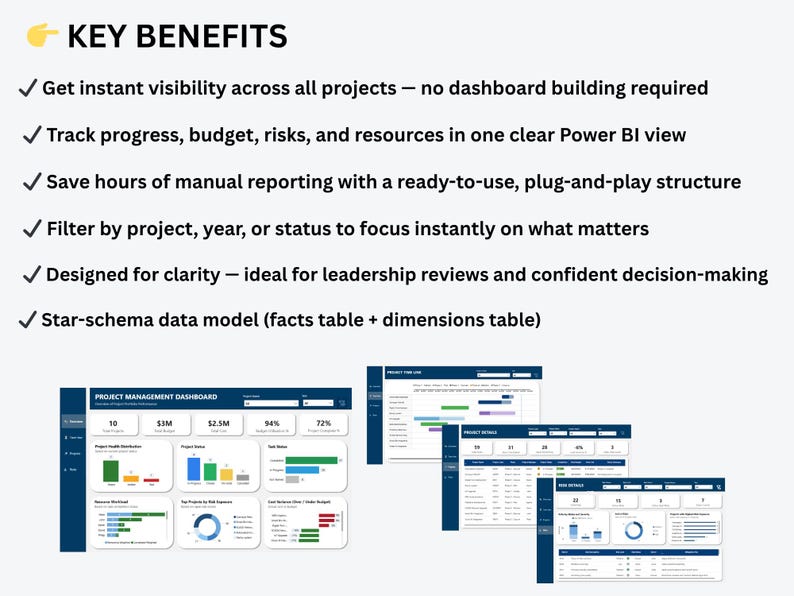 Power BI Project Management Dashboard with 4 interactive pages including portfolio overview, timeline, risk register, and project details template