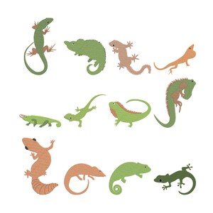 Puede incluir: Una colección de doce parches bordados de lagartos y camaleones en varios tonos de verde y beige. Cada reptil está representado en una pose distinta, mostrando diferentes formas corporales, colas curvadas y texturas con costuras detalladas.