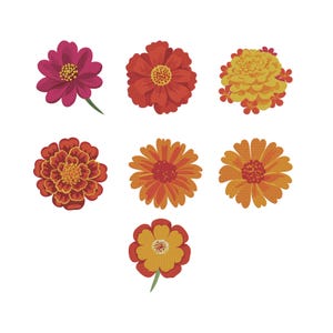 May include: Seven colorful, stylized flower illustrations in shades of red, orange, and yellow. The flowers vary in shape and petal arrangement, with green stems on some. The background is plain white.