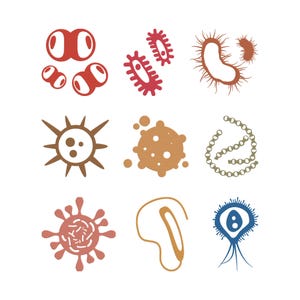 Puede incluir: Una colección de nueve ilustraciones estilizadas de varios microorganismos. Las imágenes presentan una gama de formas y colores, incluyendo rojo, marrón, naranja y azul, sobre un fondo blanco. Los diseños representan bacterias y virus.