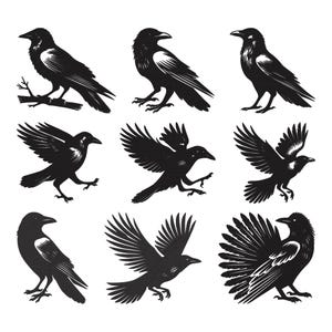 Puede incluir: Una colección de nueve ilustraciones de cuervos negros en varias poses. Algunos cuervos están posados, mientras que otros están en vuelo con las alas extendidas. La obra de arte es una representación monocromática, detallada y estilizada de las aves.