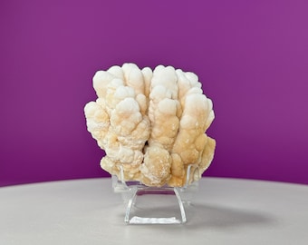 Jo Ann Hoover image