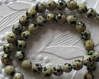 15 inch strand) 6mm Faceted Dalmatian Jasper Rounds