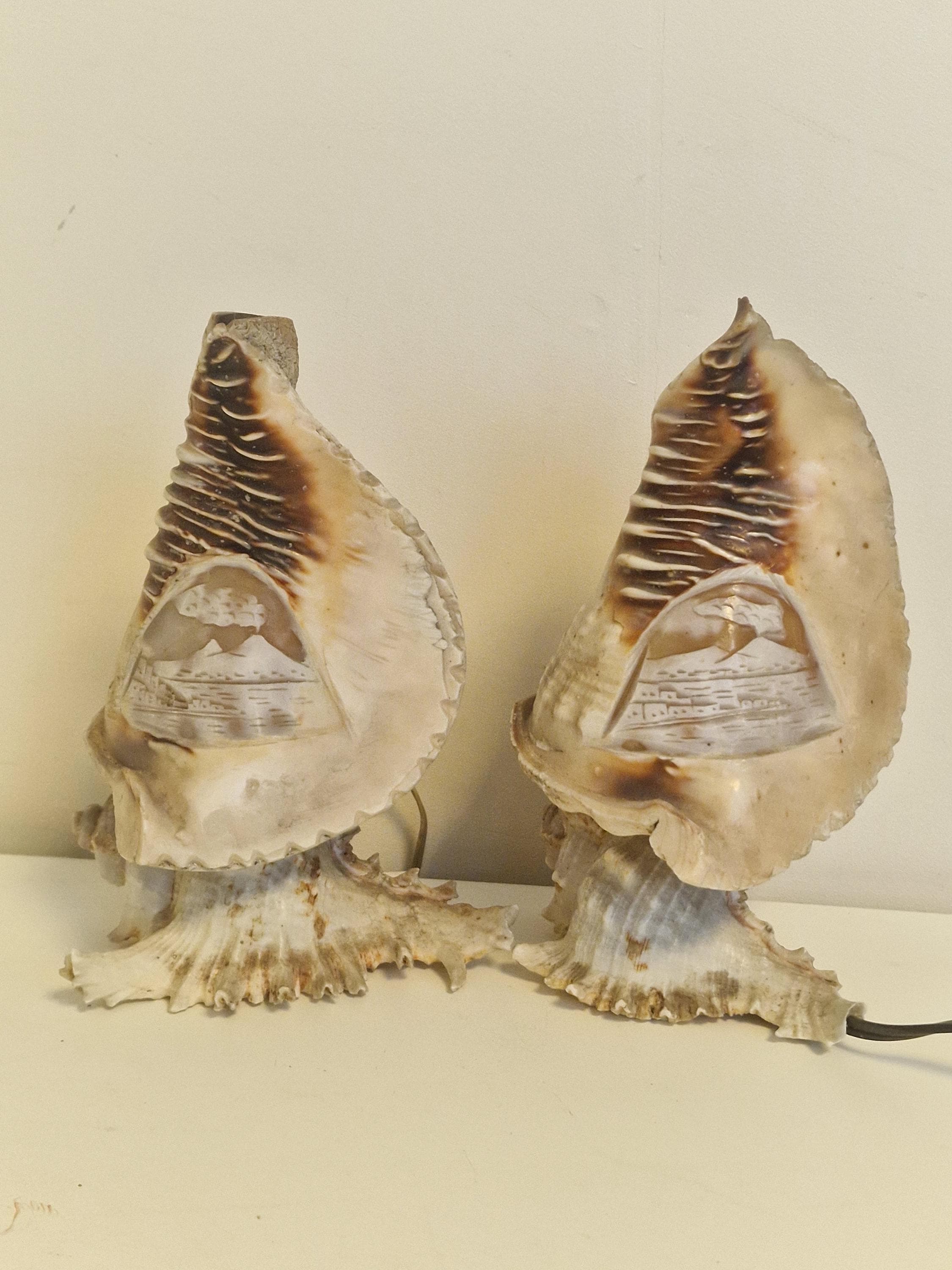 Cameo shell lamp - Etsy 日本