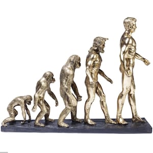 Op de afbeelding: Een goudkleurige sculptuur die de evolutie van de mens uitbeeldt, van aapachtige figuren tot een moderne mens. De figuren zijn in een rij op een donkere basis geplaatst, wat de voortgang van de menselijke ontwikkeling laat zien. Het is een decoratief item.