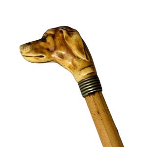 Antik promenadkäpp med hund, europeisk samling, herrflanellkäpp.