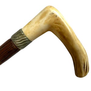 Può includere: Un bastone da passeggio con impugnatura curva color bianco sporco dalla consistenza liscia e lucida. Un collare decorativo in metallo argentato testurizzato collega l'impugnatura a un fusto in legno marrone scuro con scanalature verticali.
