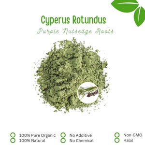 50 g - 500 g biologisch puur poeder van paarse nootmuskaatwortels Java-gras (Cyperus Rotundus) WildCrafted 100% verse natuurlijke kruiden