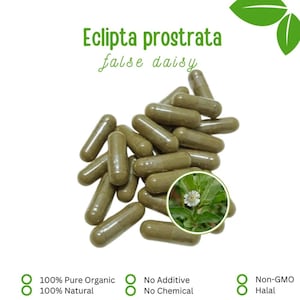 May include: A collection of olive-green capsules with the text "Eclipta prostrata false daisy." A small circular image of a white flower and green leaves is visible. The text "100% Pure Organic 100% Natural", "No Additive No Chemical", and "Non-GMO Halal" is also present.