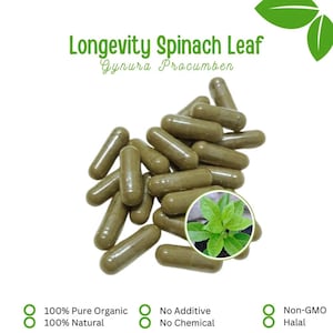 Op de afbeelding: Een stapel groene capsules, waarschijnlijk supplementen, met de tekst "Longevity Spinach Leaf" en "Gynura Procumben". De afbeelding bevat een kleine inzet van een groene plant en iconen die biologische en natuurlijke ingrediënten aangeven.