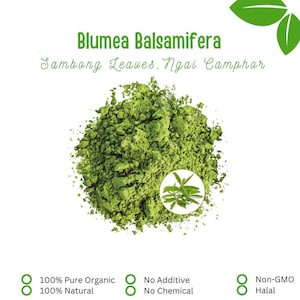 Pode incluir: Uma imagem em close-up de um monte de pó verde brilhante finamente moído, rotulado como "Blumea Balsamifera, Sambong Leaves, Ngai Camphor". A imagem inclui texto indicando que o produto é 100% puro orgânico, natural, sem aditivos, sem produtos químicos, sem OGM e Halal.