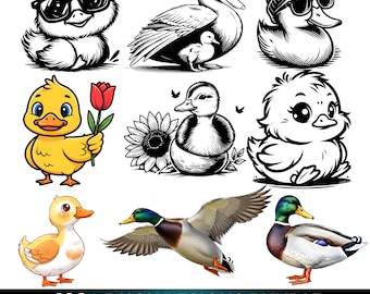 Paquete de más de 100 SVG de patos, PNG de patos lindos, paquete de imágenes prediseñadas de patos, SVG de patito, diseños de dibujos animados de patos, paquete de SVG de animales, diseño de camiseta de patos