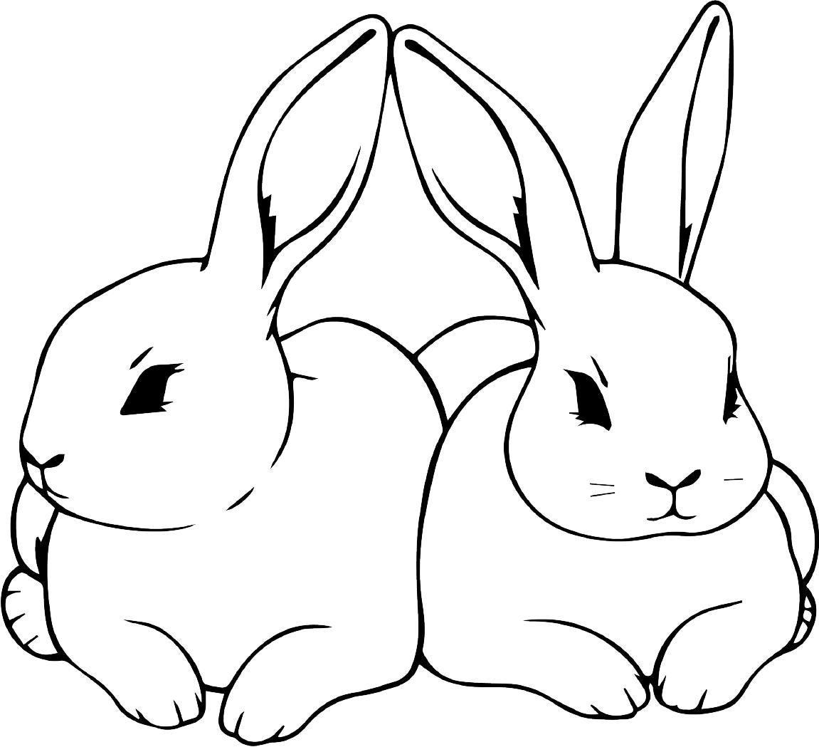150 Cute Bunny SVG PNG Bundle | Spring Easter Rabbit Clipart | Baby ...