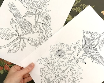 PDF  coloring pages, Summer birds, set of 2 pages