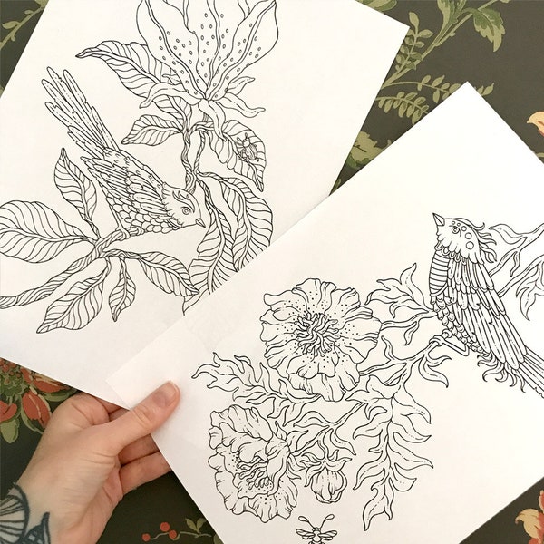 PDFぬり絵ページ、夏の鳥、2ページセット