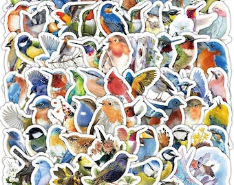 Cute Bird Sticker Pack 100pcs, Vintage Watercolor Bird Stickers, Nature Animal Stickers for Laptop, Water Bottle Stickers, Bird Decals