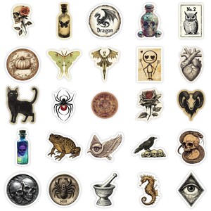 Pu&ograve; includere: Una collezione di adesivi in stile vintage con immagini gotiche e mistiche. I disegni includono un teschio con una rosa, una farfalla in una bottiglia, un drago, un gufo, un gatto nero, un ragno, una rana, un cavalluccio marino e un cuore umano.