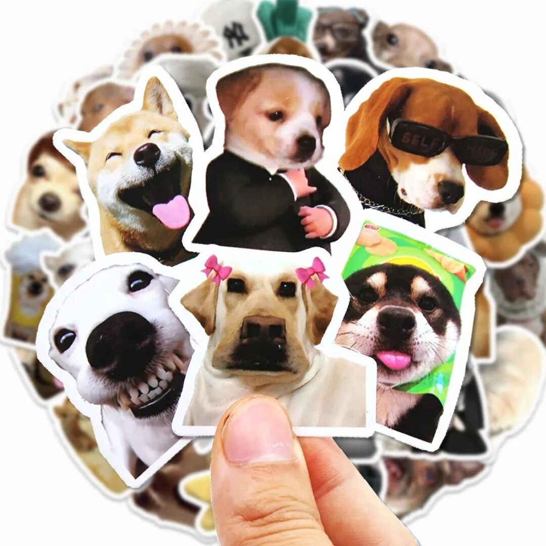 Funny Dog Face Meme Sticker Pack, Cute Animal Dogs and Cats Meme ...