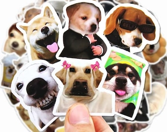 Pack d'autocollants mèmes tête de chien rigolote, Stickers mèmes animaux mignons chiens et chats | Sticker meme animal drôle | Stickers pour ordinateur portable, Stickers pour chien