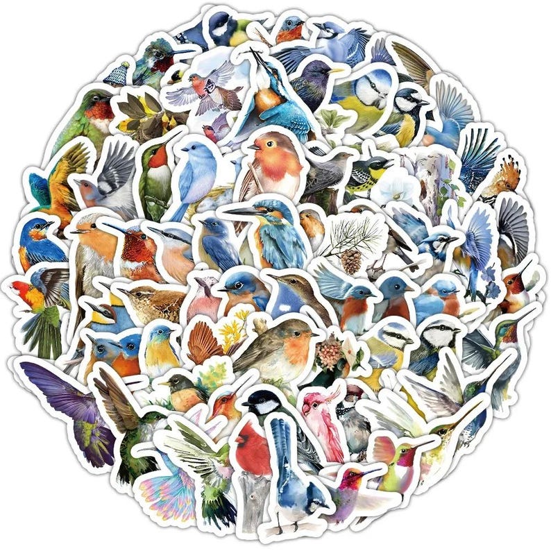 Cute Bird Sticker Pack 100pcs, Vintage Watercolor Bird Stickers, Nature ...