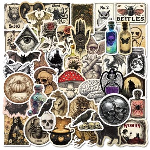 Pu&ograve; includere: Una collezione di adesivi in stile vintage con temi gotici e occulti. Gli adesivi presentano illustrazioni di teschi, pipistrelli, corvi, bottiglie di pozioni, funghi e altri elementi mistici.