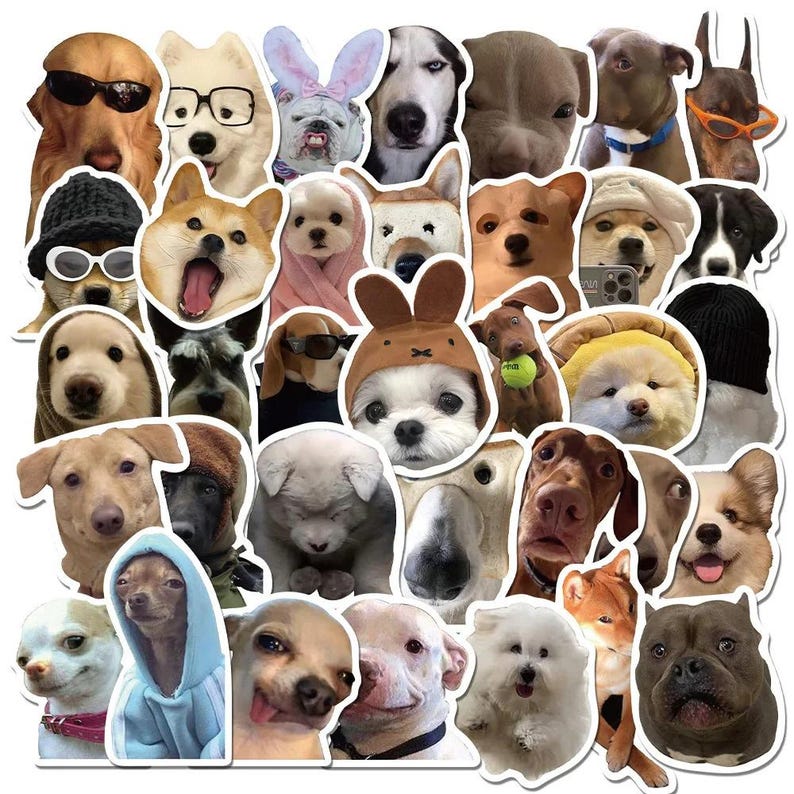 50pcs Funny Dog Face Meme Sticker Pack, Cute Animal Dogs and Cats Meme ...