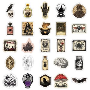 Pu&ograve; includere: Una collezione di adesivi in stile vintage con immagini occulte e gotiche. I disegni includono un teschio con un corvo, una bottiglia di pozione, una mano con un occhio, una sfera di cristallo, un volto barbuto, un flacone di profumo a ragno e un pipistrello.
