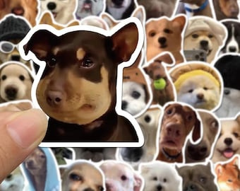 Pack de 50 stickers mèmes visage de chien rigolote, Stickers mèmes animaux mignons chiens et chats | Sticker meme animal drôle | Stickers pour ordinateur portable
