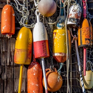 Może przedstawiać: Kolekcja kolorowych boi rybackich w różnych kształtach i rozmiarach, w tym pomarańczowych, żółtych i białych, z których niektóre noszą ślady zużycia. Wiszą na tle zwietrzałego drewnianego tła, z sieciami i linami rybackimi.