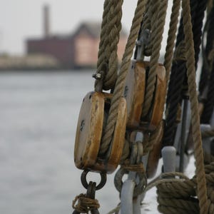 May include: Detailed view of a ship's rigging, showcasing wooden blocks and ropes. The blocks are light brown, and the ropes are a mix of tan and black. The background is blurred, with water and buildings visible.