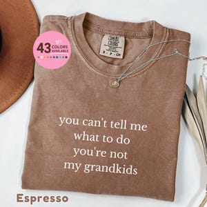 May include: A brown short-sleeved t-shirt with the white text "you can't tell me what to do you're not my grandkids" printed on the front. The shirt features a Comfort Colors brand label at the inner neckline and a small circular graphic.